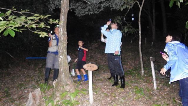 夜の森 探検ツアー in 匠の聚