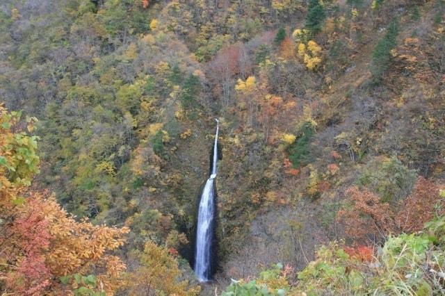 【紅葉・見ごろ】つむじ倉滝