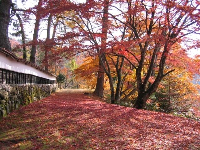 【紅葉・見ごろ】会津柳津　福満虚空藏菩薩圓藏寺