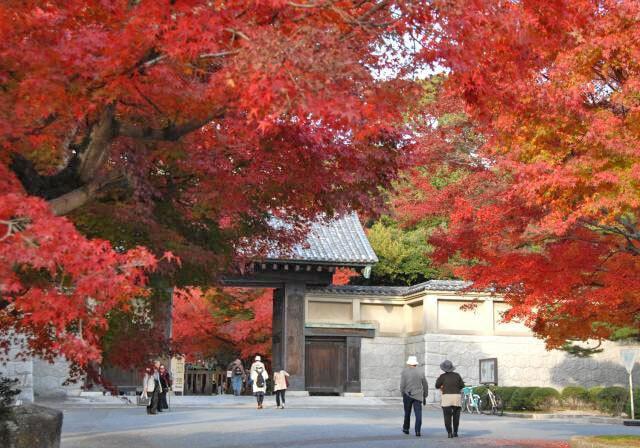 【紅葉・見ごろ】毛利氏庭園／毛利博物館　特別展「国宝」