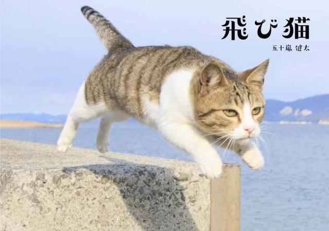 五十嵐健太「飛び猫」写真展