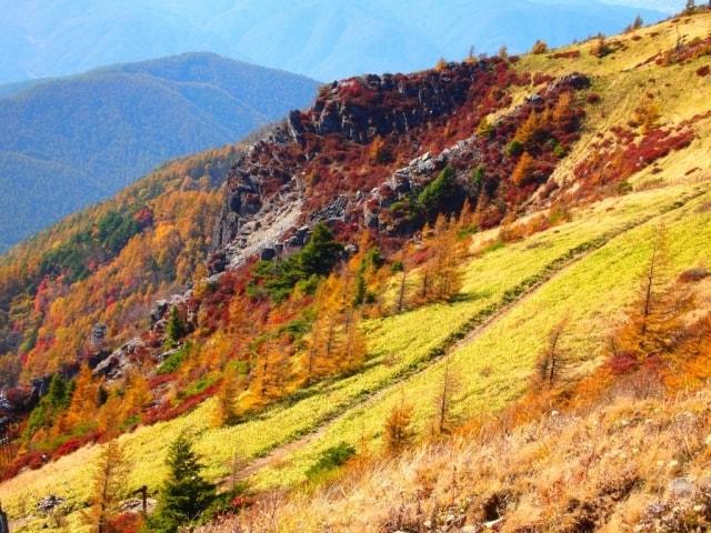 【紅葉・見ごろ】美ヶ原高原