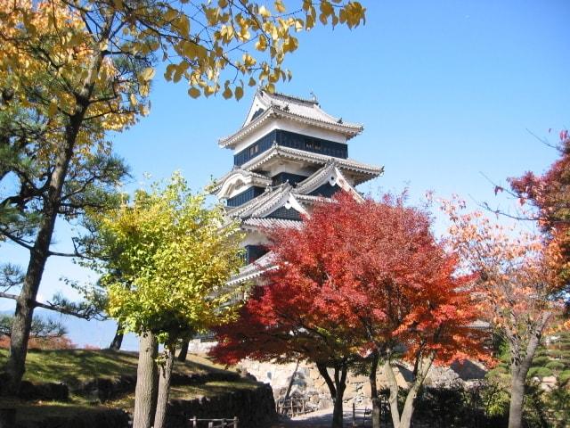 【紅葉・見ごろ】松本城