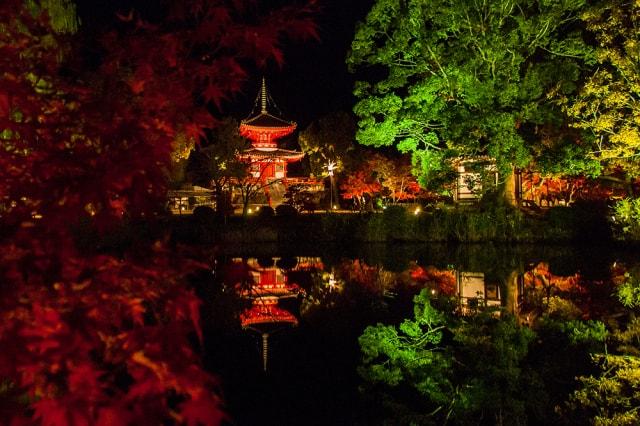 大覚寺 大沢池ライトアップ