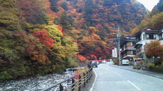 【紅葉・見ごろ】梅ケ島温泉街