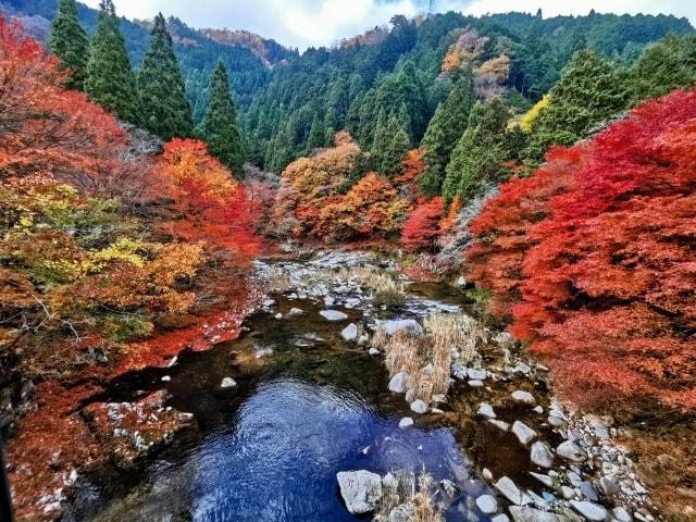 【紅葉・見ごろ】奥津渓