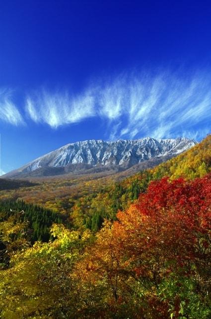 【紅葉・見ごろ】奥大山 鍵掛峠