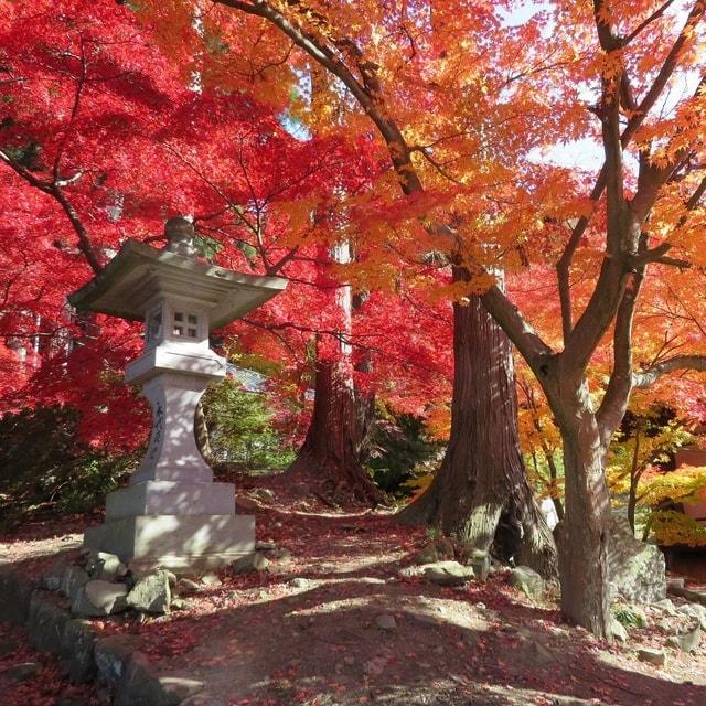 【紅葉・見ごろ】阿弥陀山清水寺