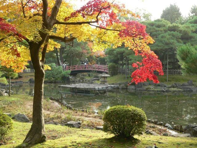 【紅葉・見ごろ】芦城公園