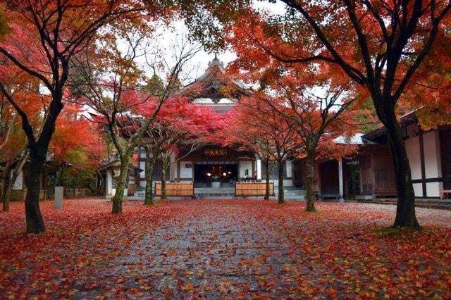 呑山観音寺 紅葉まつり