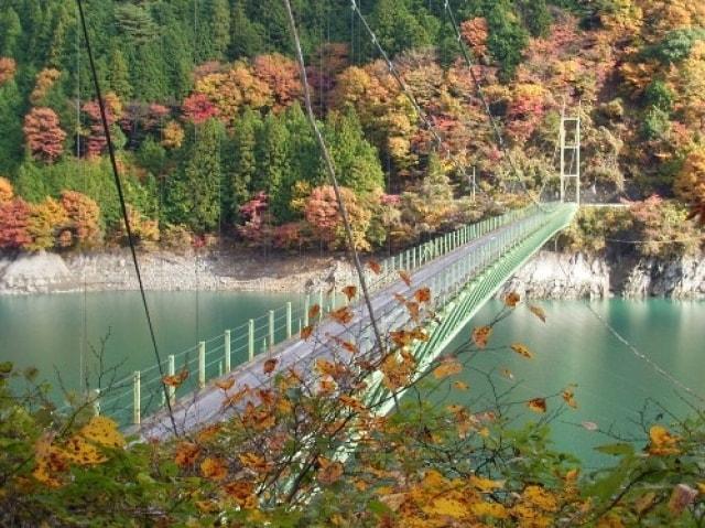 【紅葉・見ごろ】井川大橋