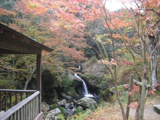 【紅葉・見ごろ】るり渓