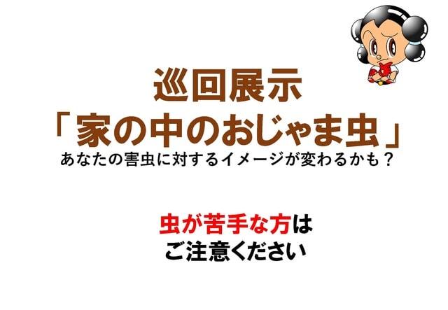 巡回展示「家の中のおじゃま虫」