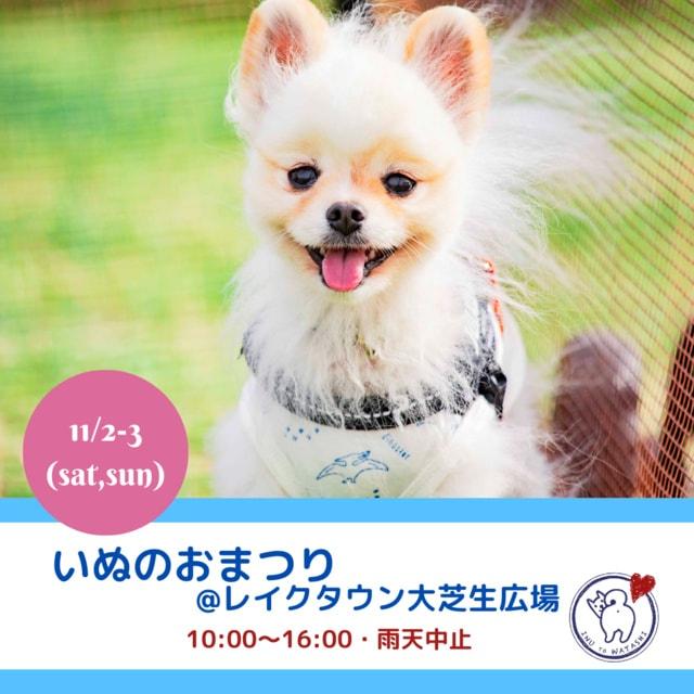 いぬのおまつり