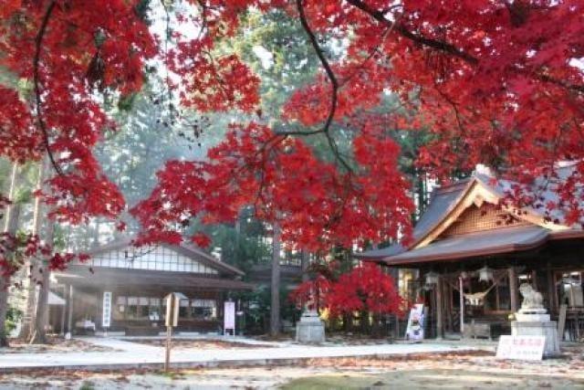 【紅葉・見ごろ】總宮神社