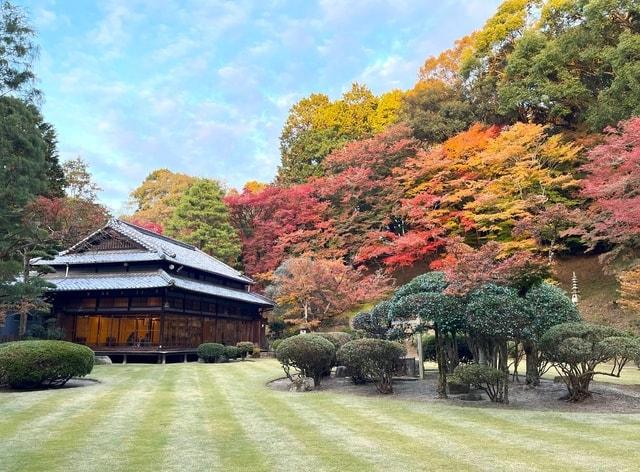 麻生大浦荘　紅葉特別公開