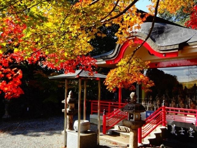 【紅葉・見ごろ】鳳源寺