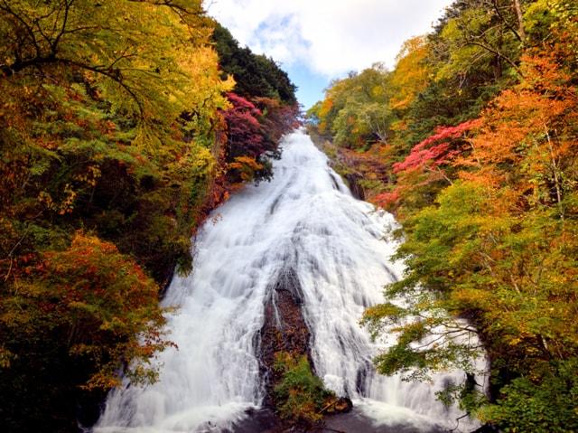 【紅葉・見ごろ】湯滝