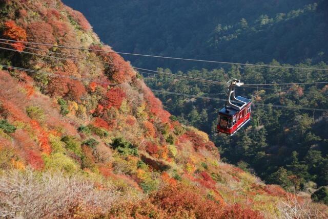 【紅葉・見ごろ】雲仙ロープウェイ