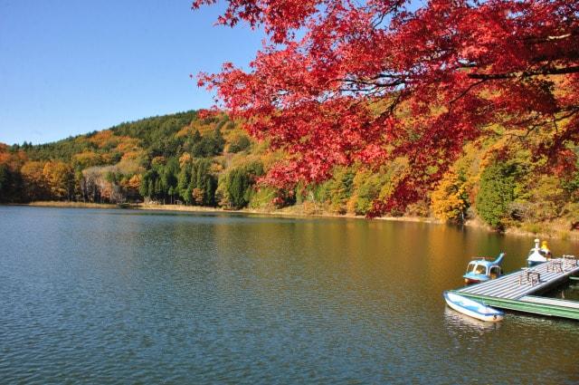 【紅葉・見ごろ】四尾連湖