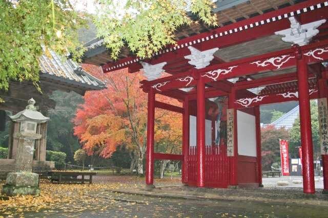 【紅葉・見ごろ】南房総市小松寺