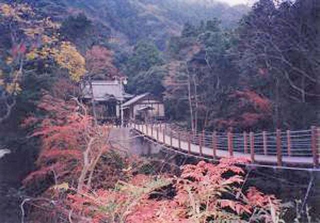 【紅葉・見ごろ】南房総市かじか橋