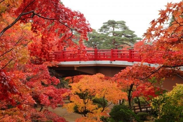 【紅葉・見ごろ】弥彦公園