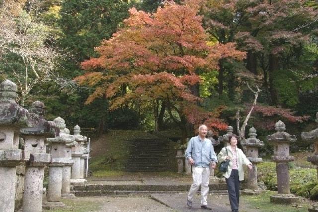 【紅葉・見ごろ】鳥取藩主池田家墓所