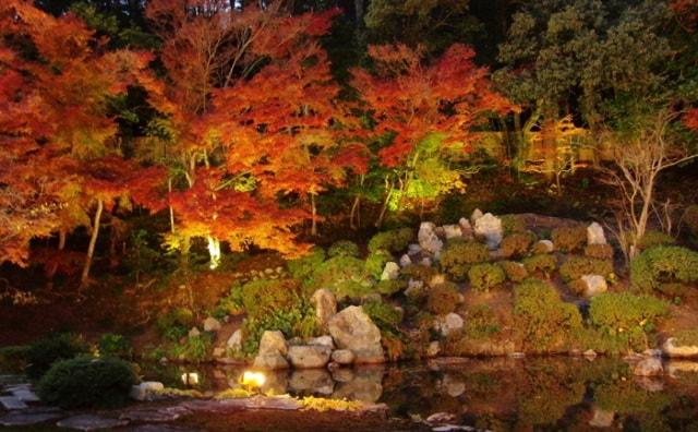 【紅葉・見ごろ】興禅寺