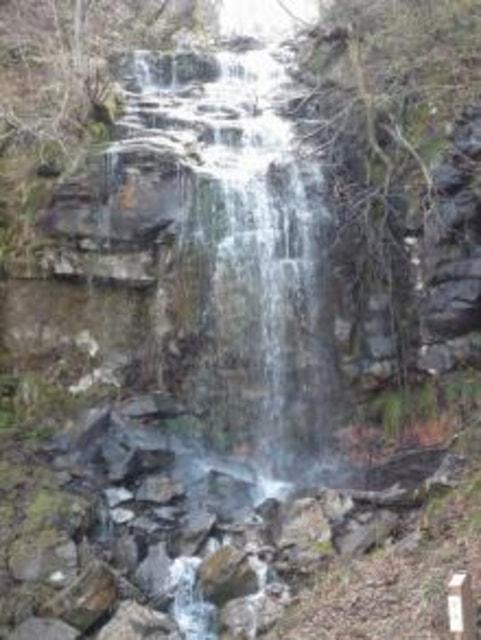 畑ケ平林道（県道）滝ハイキング＜中止となりました＞