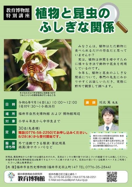 特別講座　植物と昆虫のふしぎな関係