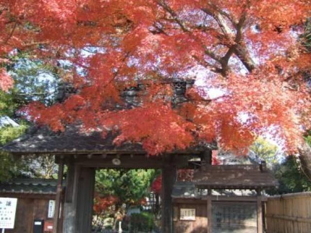 【紅葉・見ごろ】古長禅寺