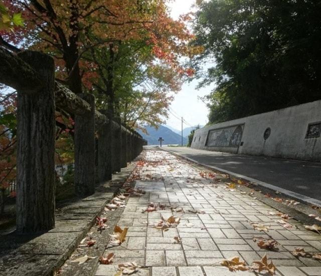 【紅葉・見ごろ】陶板の道