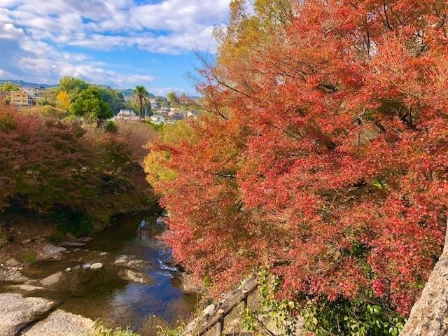 【紅葉・見ごろ】衝上（つきあげ）断層公園