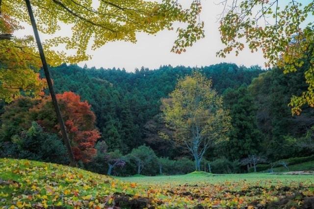 【紅葉・見ごろ】銚子ダム公園