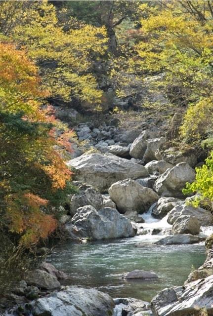 【紅葉・見ごろ】岩屋川渓谷