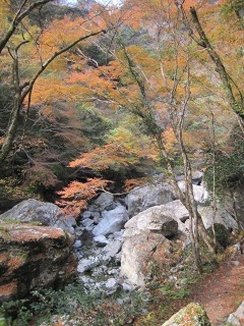 【紅葉・見ごろ】中津渓谷