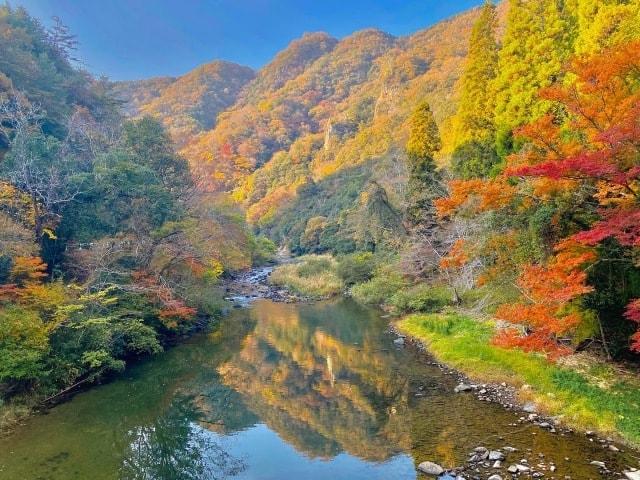 【紅葉・見ごろ】宇甘渓