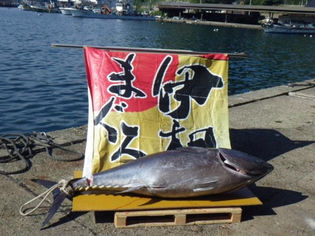 伊根のうみゃ～もん祭