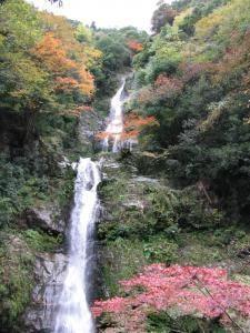 【紅葉・見ごろ】鳴滝