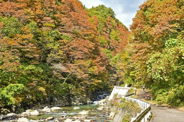 【紅葉・見ごろ】岨谷峡