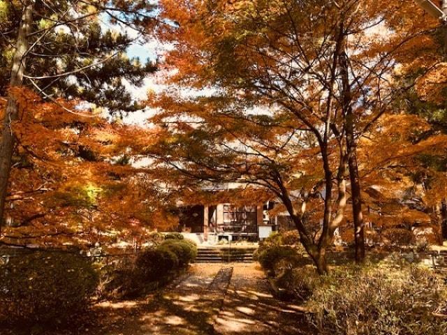 【紅葉・見ごろ】大泉寺