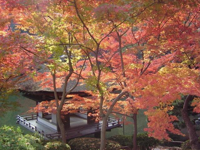 【紅葉・見ごろ】紅葉渓庭園