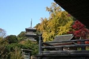 【紅葉・見ごろ】安来　清水寺