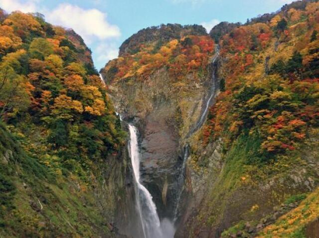 【紅葉・見ごろ】称名滝