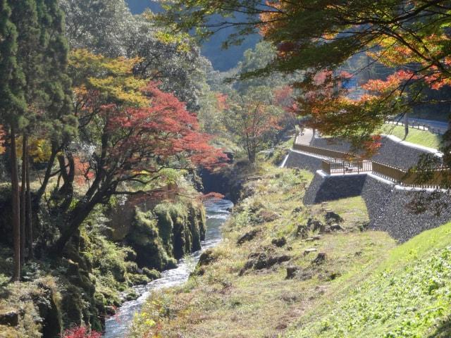 【紅葉・見ごろ】新川渓谷遊歩道周辺