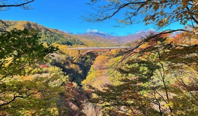 【紅葉・見ごろ】雪割橋