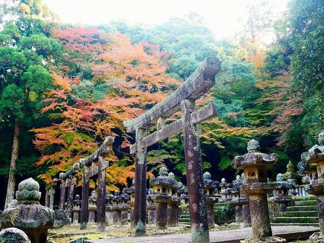 【紅葉・見ごろ】大照院