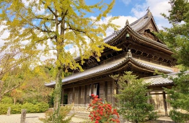 【紅葉・見ごろ】東光寺