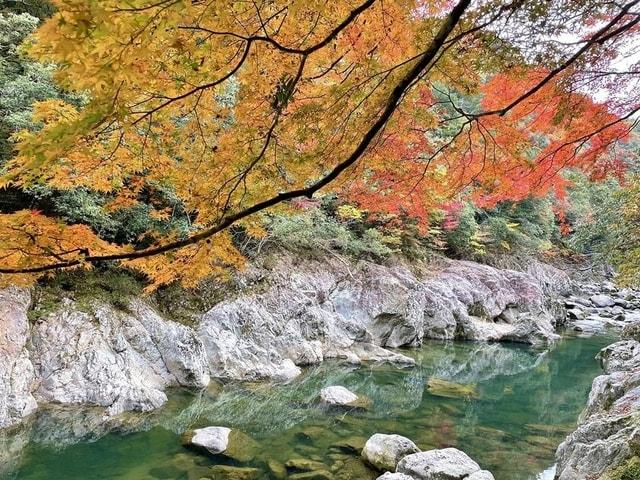 【紅葉・見ごろ】長門峡